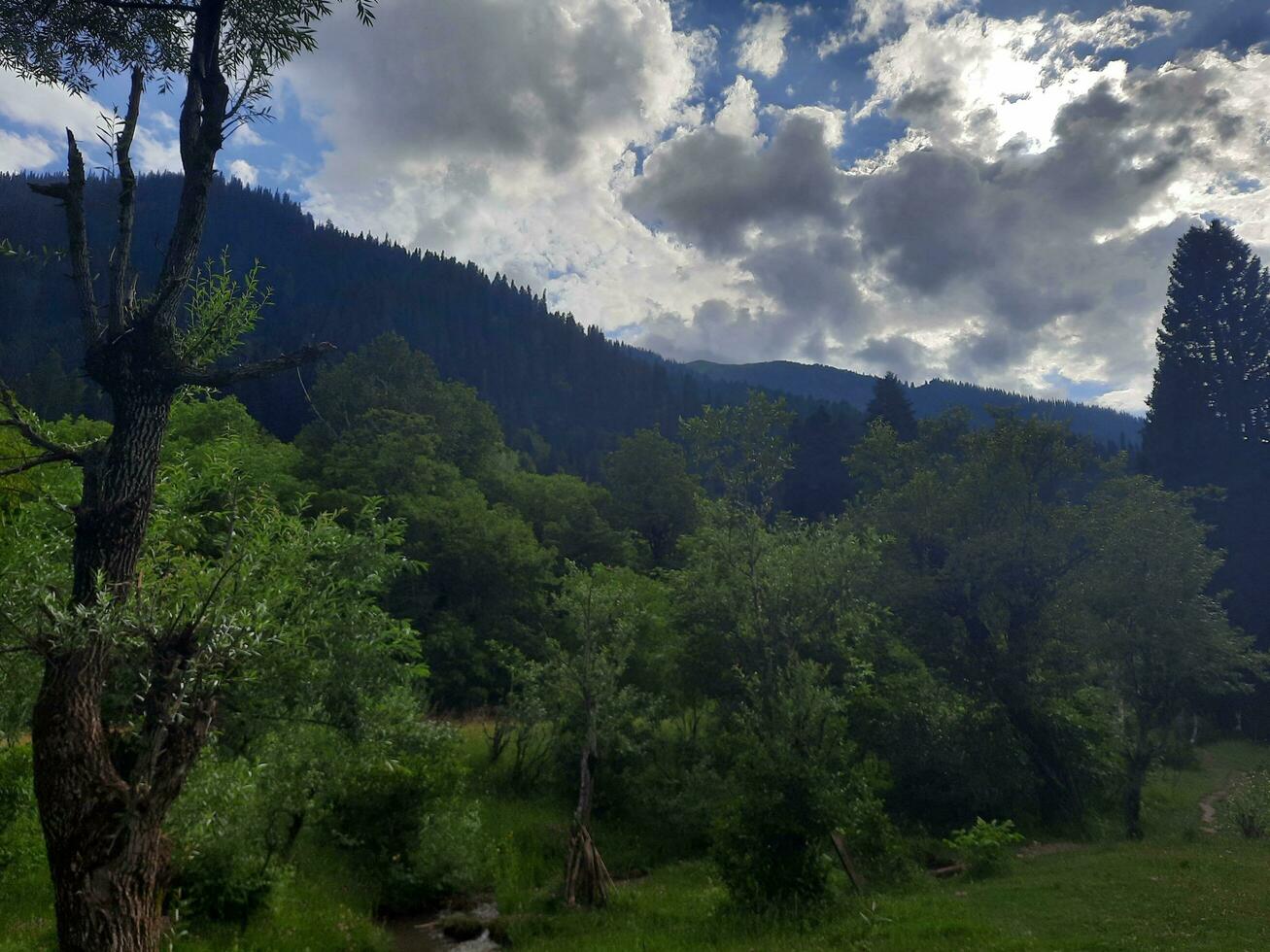 Scenic view of the natural beauty of Tao Butt, Neelum Valley, Kashmir.  Tao Butt is famous for its lush green trees and natural beauty. photo