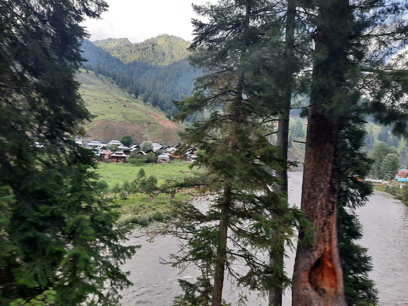 Scenic view of the natural beauty of Tao Butt, Neelum Valley, Kashmir.  Tao Butt is famous for its lush green trees and natural beauty. photo