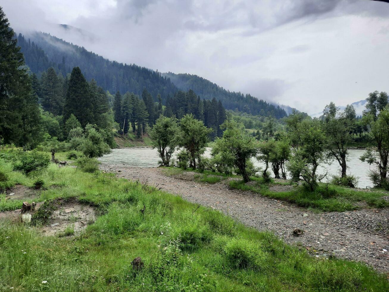 escénico ver de el natural belleza de tao culata, neelum valle, cachemir. tao extremo es famoso para sus lozano verde arboles y natural belleza. foto