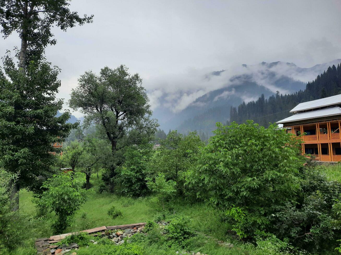 Scenic view of the natural beauty of Tao Butt, Neelum Valley, Kashmir.  Tao Butt is famous for its lush green trees and natural beauty. photo