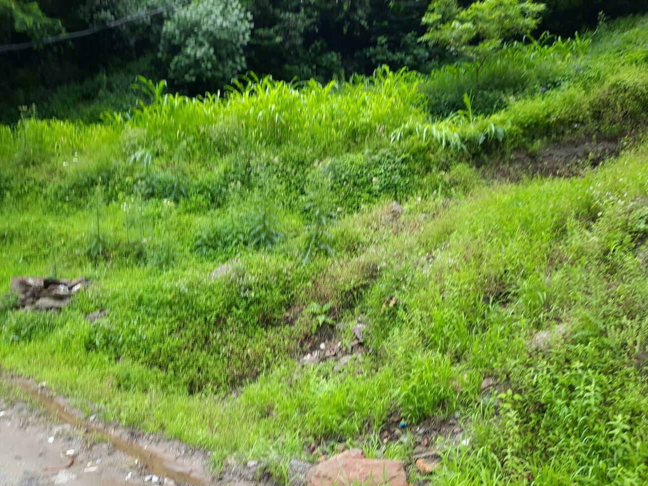 Beautiful day time view of natural beauty of Jagran, Neelum Valley, Kashmir. Jagran, Neelam Valley is famous for its natural beauty. photo