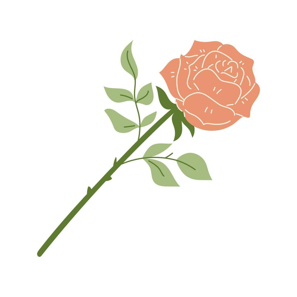 One blooming rose on a twig with leaves. Flat hand drawn pink rose flower. Botanical illustration in a trendy flat style. Vector decorative element isolated on a white background.