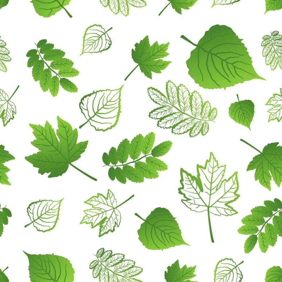 Seamless pattern of fresh different juicy green leaves on a white background vector