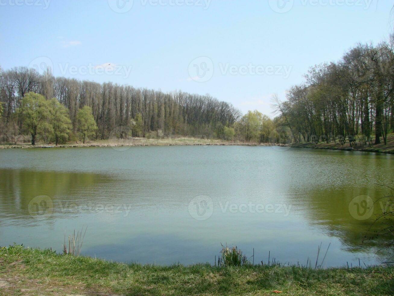 Panoramic view of an idyllic summer landscape with a clear lake and green pastures photo