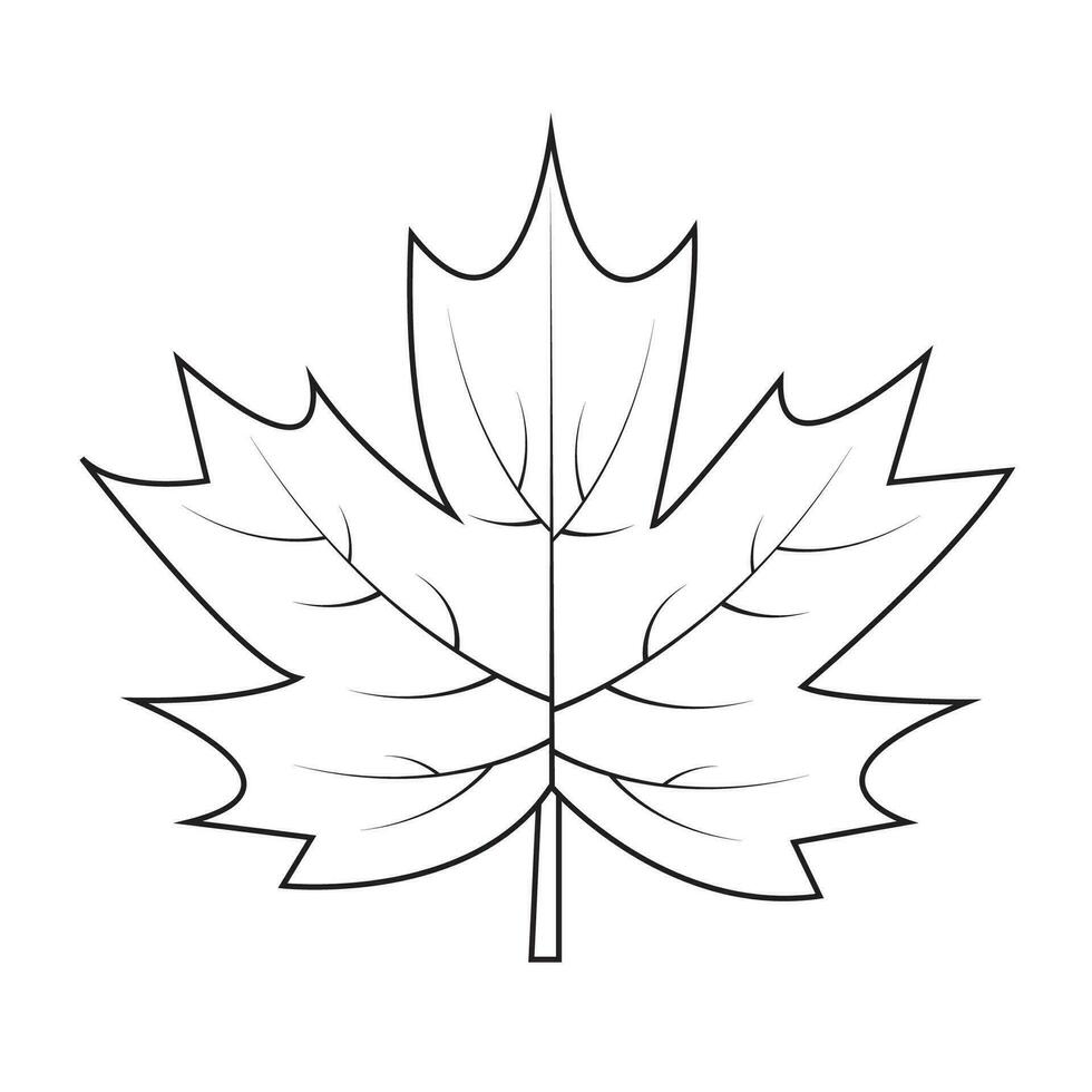 Contour drawing of a maple leaf. Autumn leaf vector