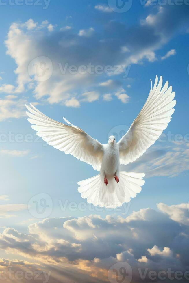 White dove ascends against peaceful sky symbolizing divine heavenly messages photo