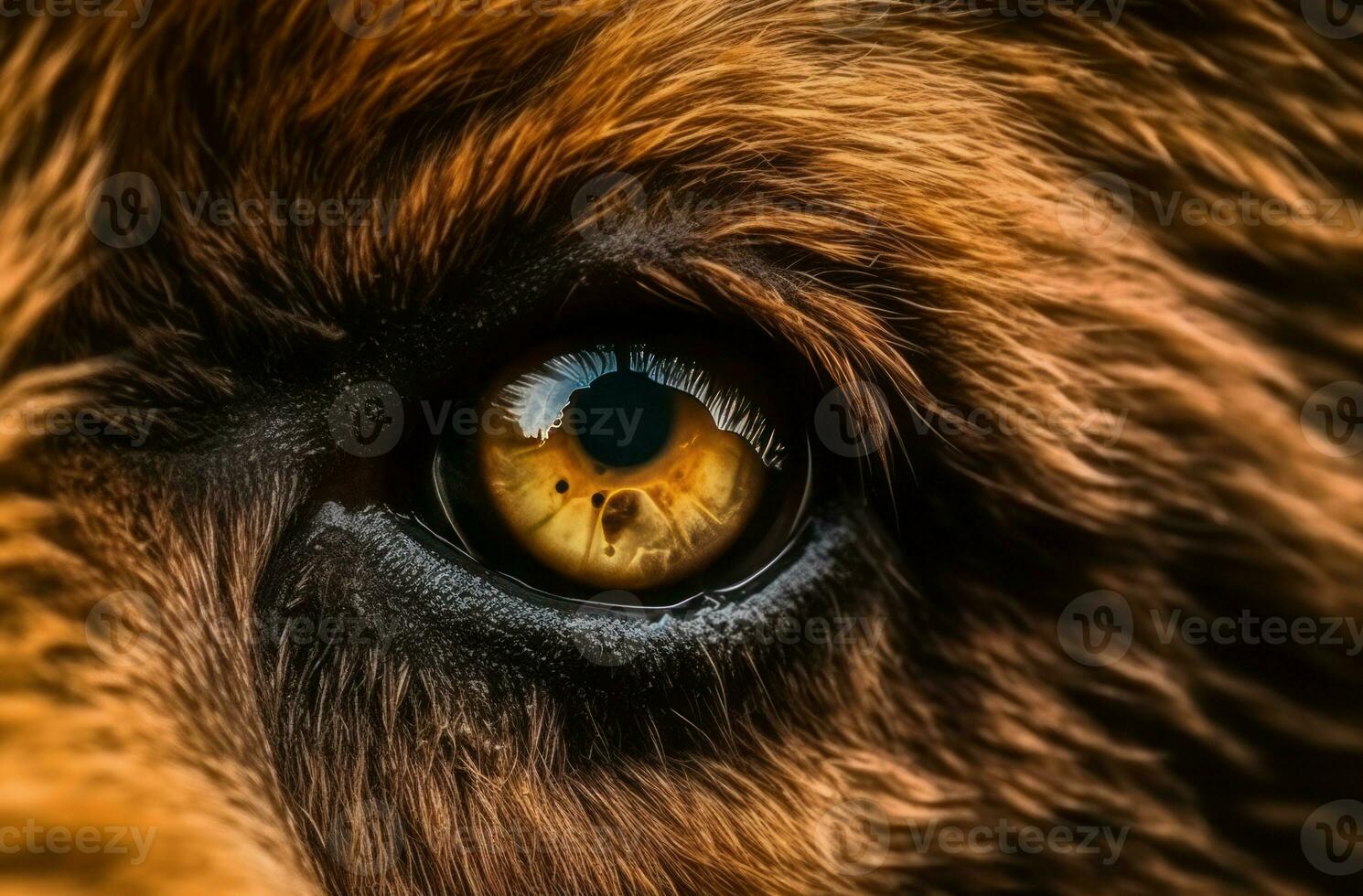 Bear eye closeup macro. Generate Ai photo