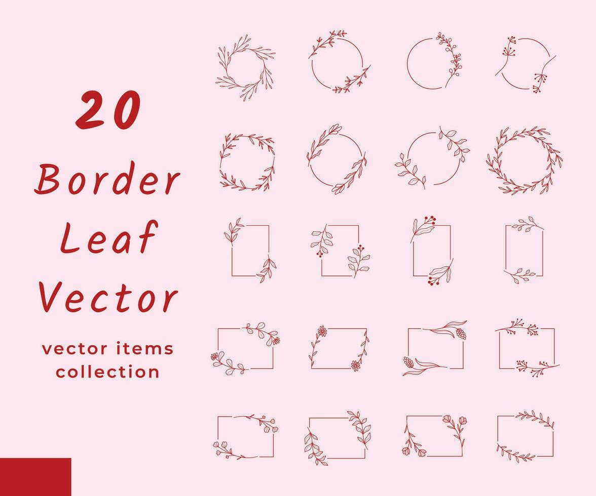 colección frontera hojas decoración vector