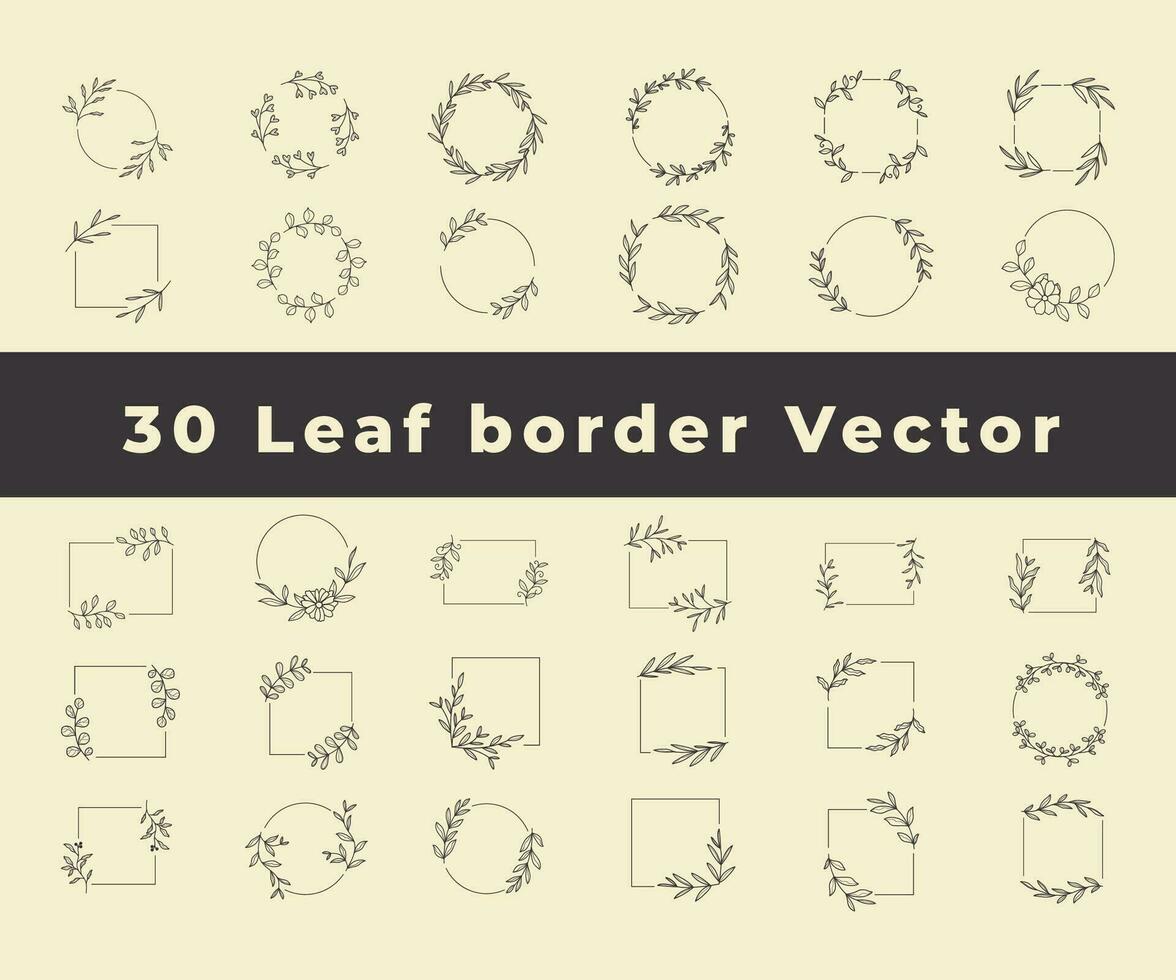 Collection border leaves decoration vector