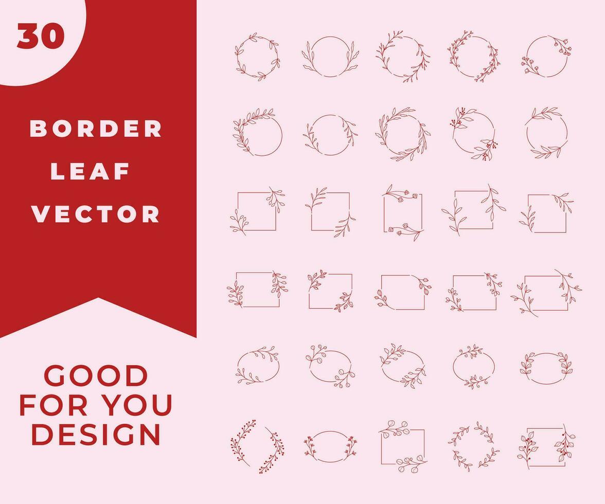Collection border leaves decoration vector