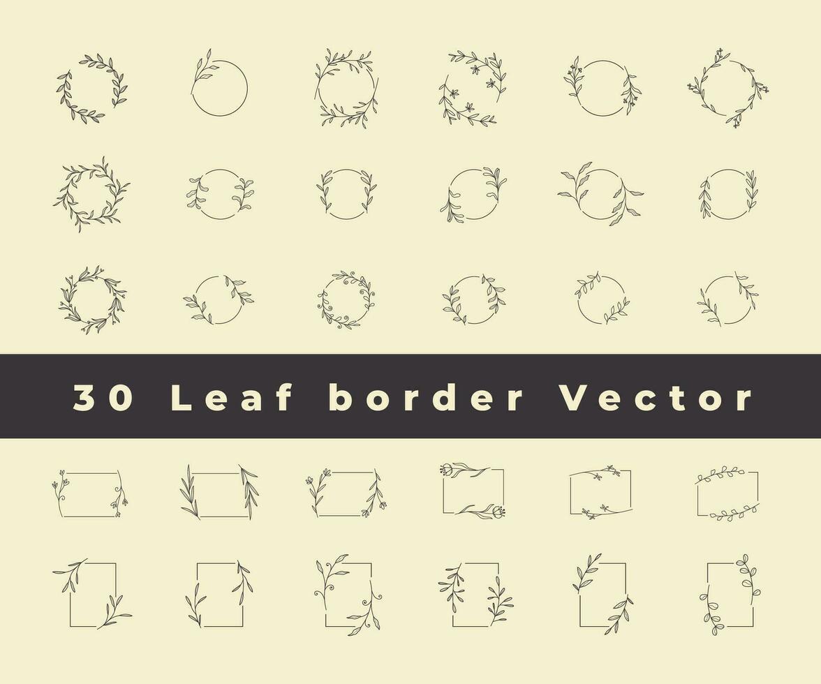 Collection border leaves decoration vector