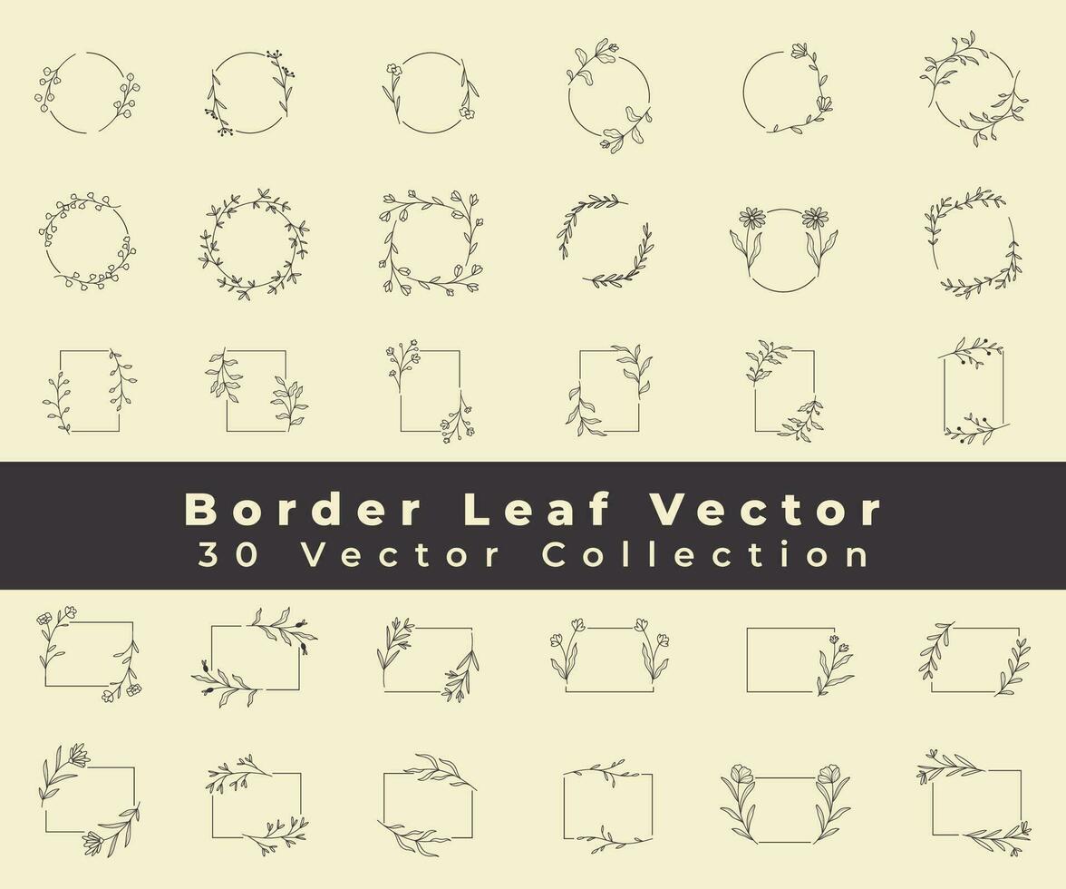 Collection border leaves decoration vector