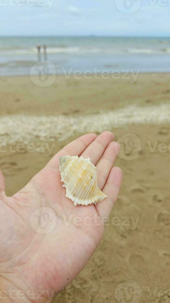 Photo seashore, island, seaside resort. You can use it for photo wallpapers, posters, postcards, making a wish map.