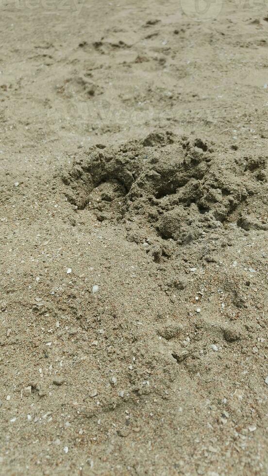 Photography, texture of sand, beach. Footprints in the sand, a seaside resort, an island. You can use photo