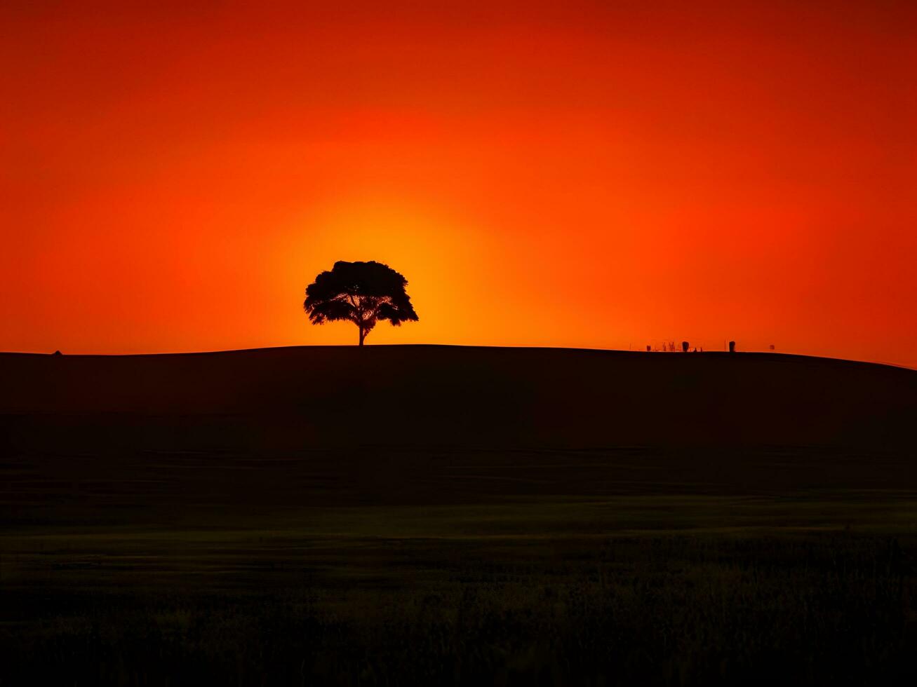 a lone tree stands in the middle of a field at sunset photo