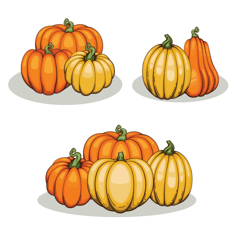 Pumpkins illustration isolated on white. Autumn Thanksgiving Pumpkins arrangement on white background. Colorful Pumpkins Realistic Illustration vector