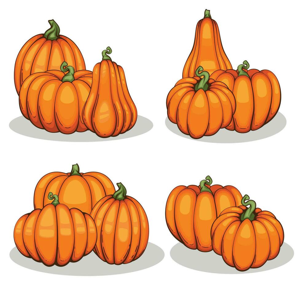 Pumpkins illustration isolated on white. Autumn Thanksgiving Pumpkins arrangement on white background. Colorful Pumpkins Realistic Illustration vector