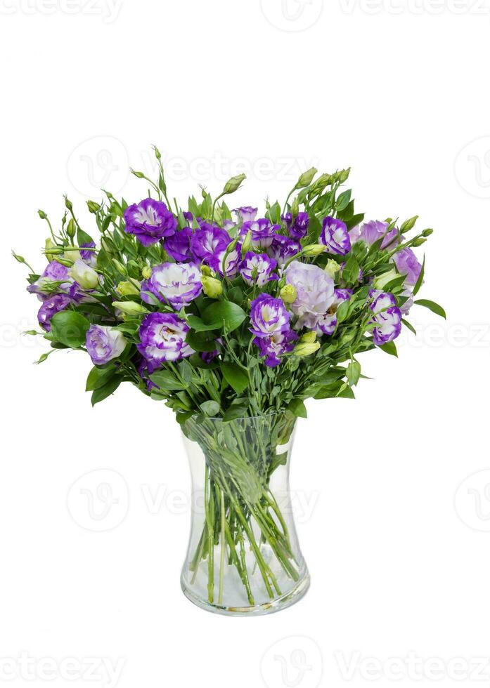 Beautiful huge bouquet of violet-white lisianthus in vase on white background photo