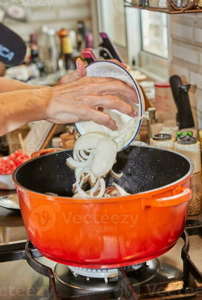 Chef puts chopped onions into a pot on gas stove photo