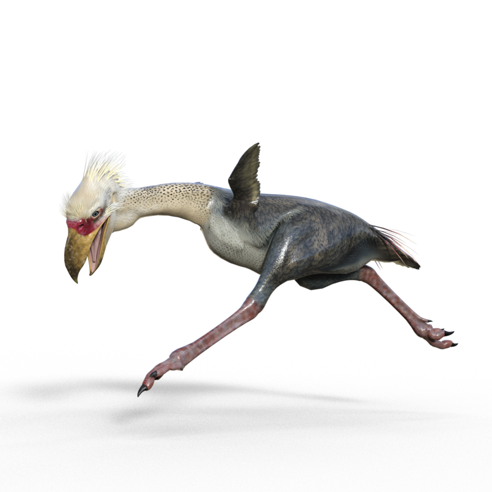 Phorusrhacos dinosaur isolated png