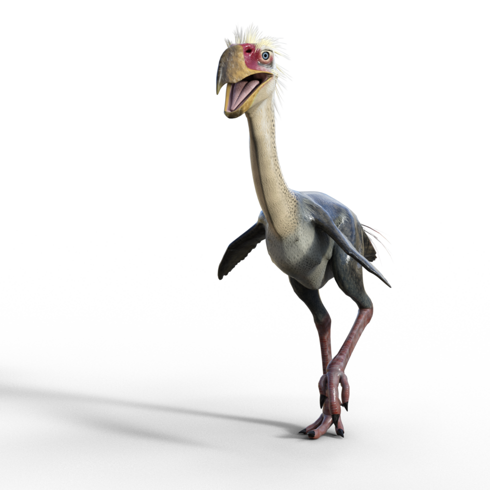 forusraco dinosauro isolato png