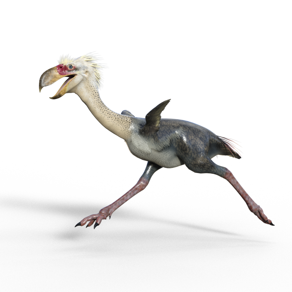 Phorusrhacos dinosaur isolated png