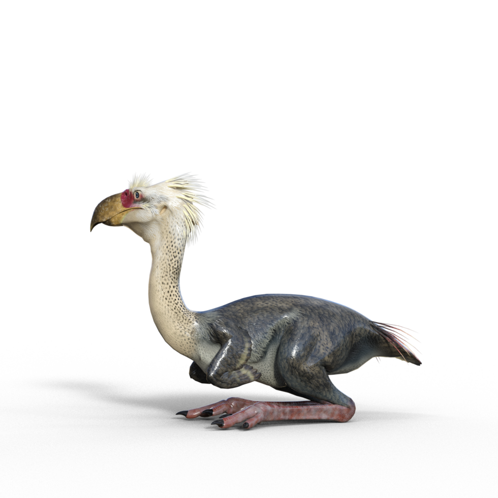 Phorusrhacos dinosaur isolated png