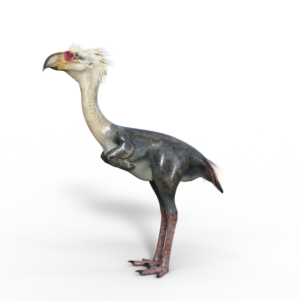 Phorusrhacos dinosaur isolated png