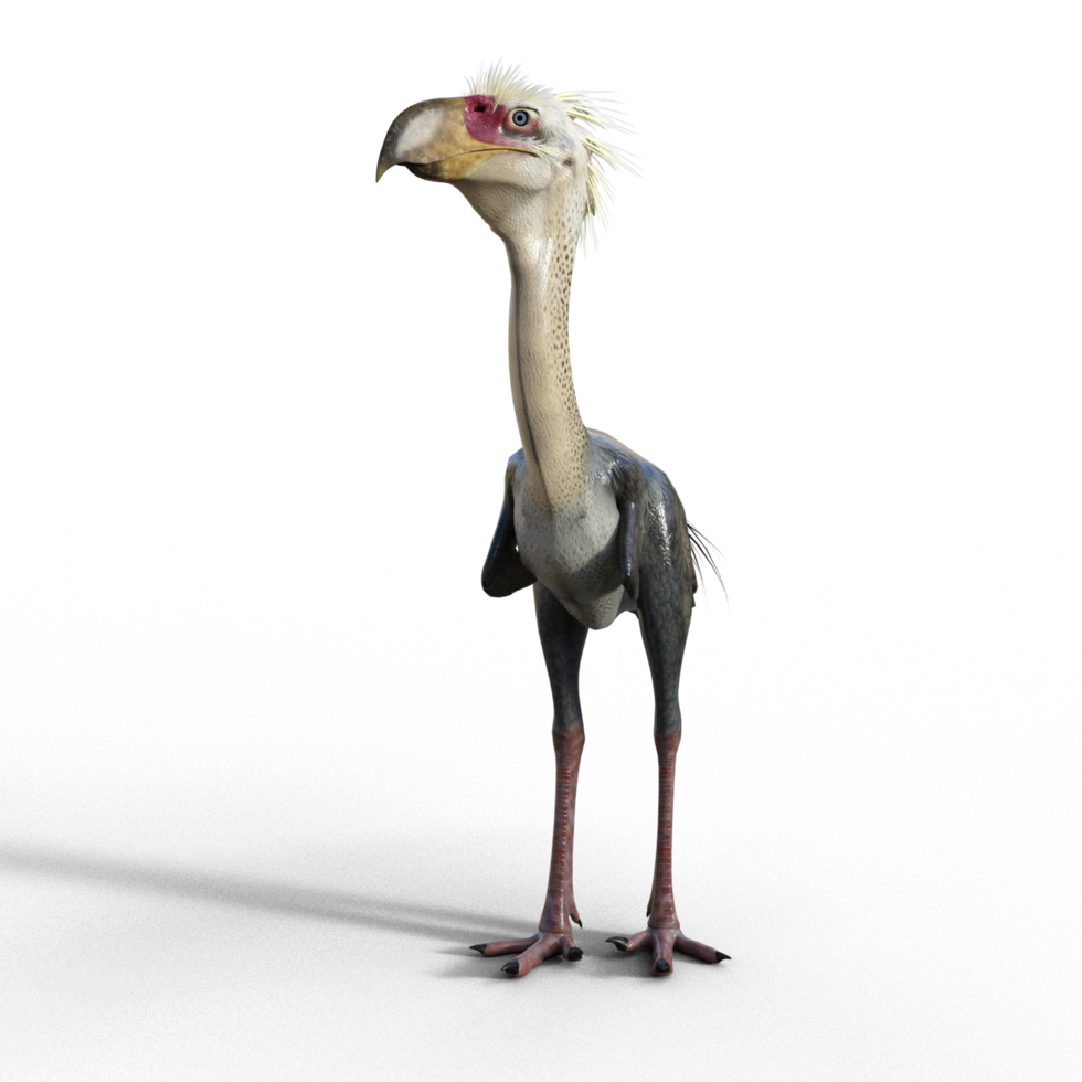 Phorusrhacos dinosaur isolated png