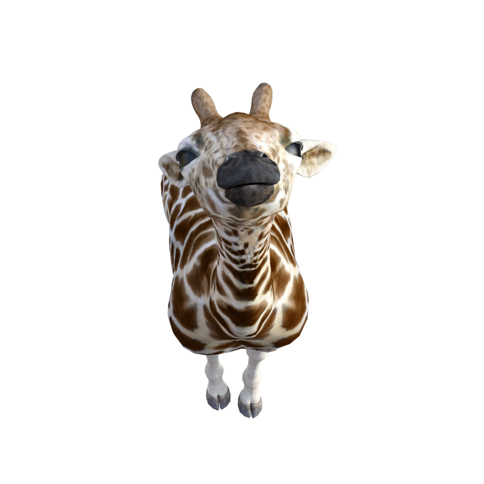 giraffe isolated 3d png