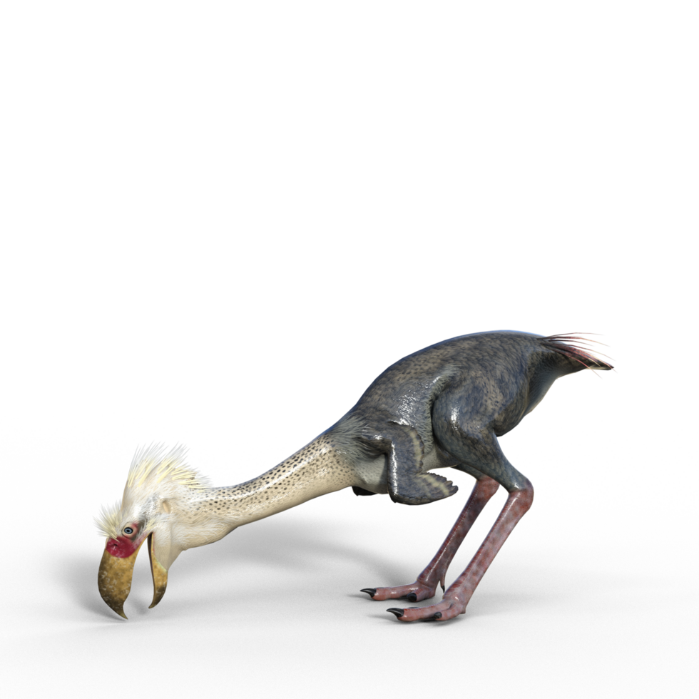 Phorusrhacos dinosaur isolated png