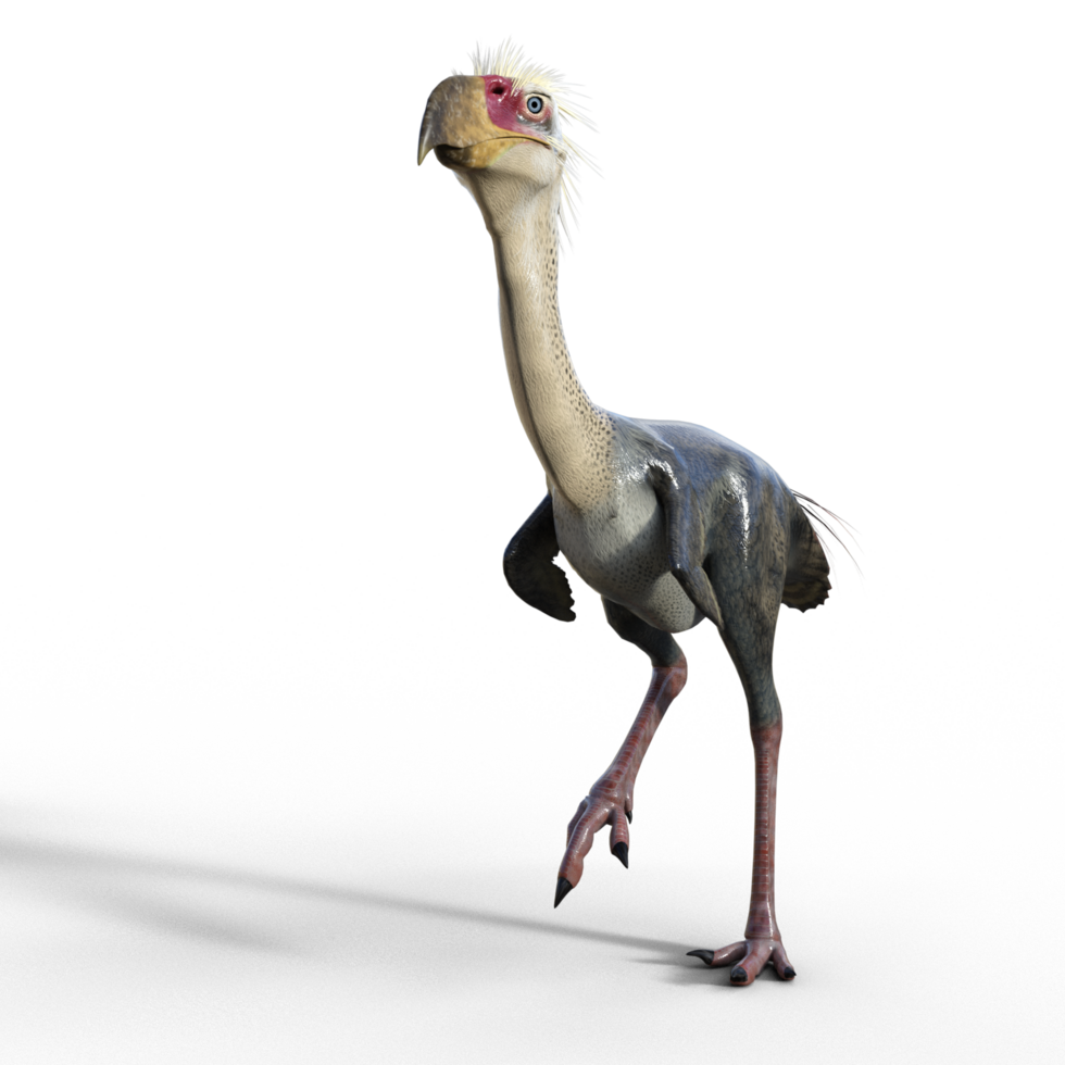 Phorusrhacos dinosaur isolated png