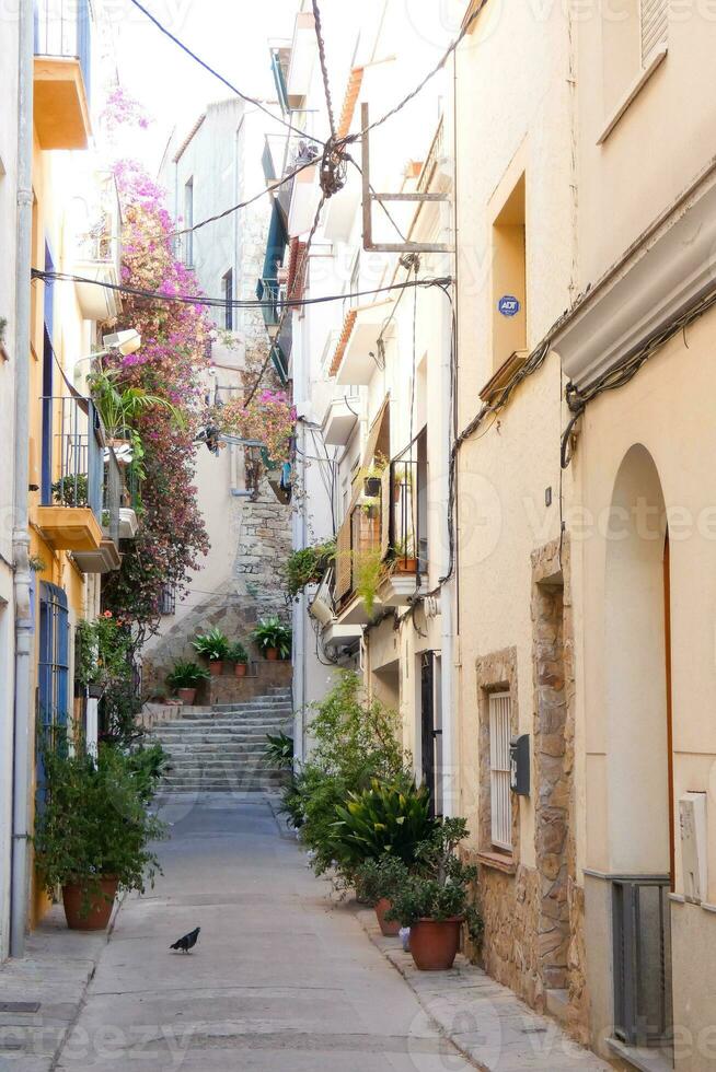 Narrow streets in the old quarter of the Mediterranean town of Blanes in the province of Barcelona, Catalonia, Spain. photo