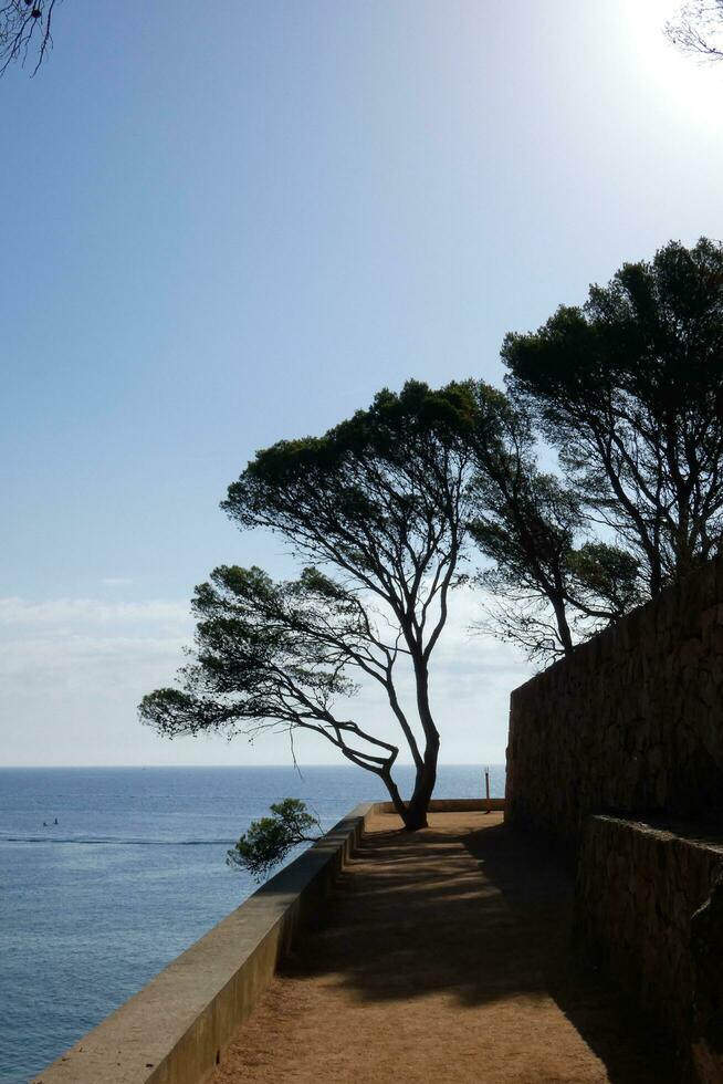 Costa brava and coastal path along the rugged coastline of northern catalonia, Spain photo