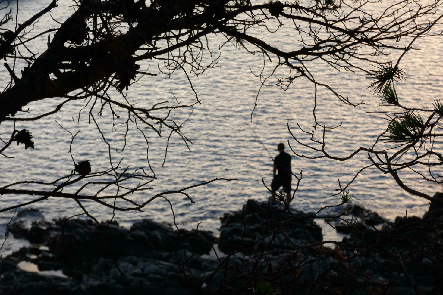 Man backlit with a fishing rod in the sea photo