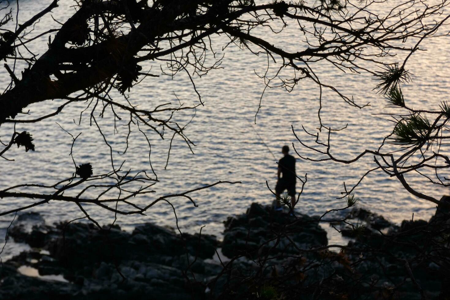 hombre retroiluminado con un pescar varilla en el mar foto