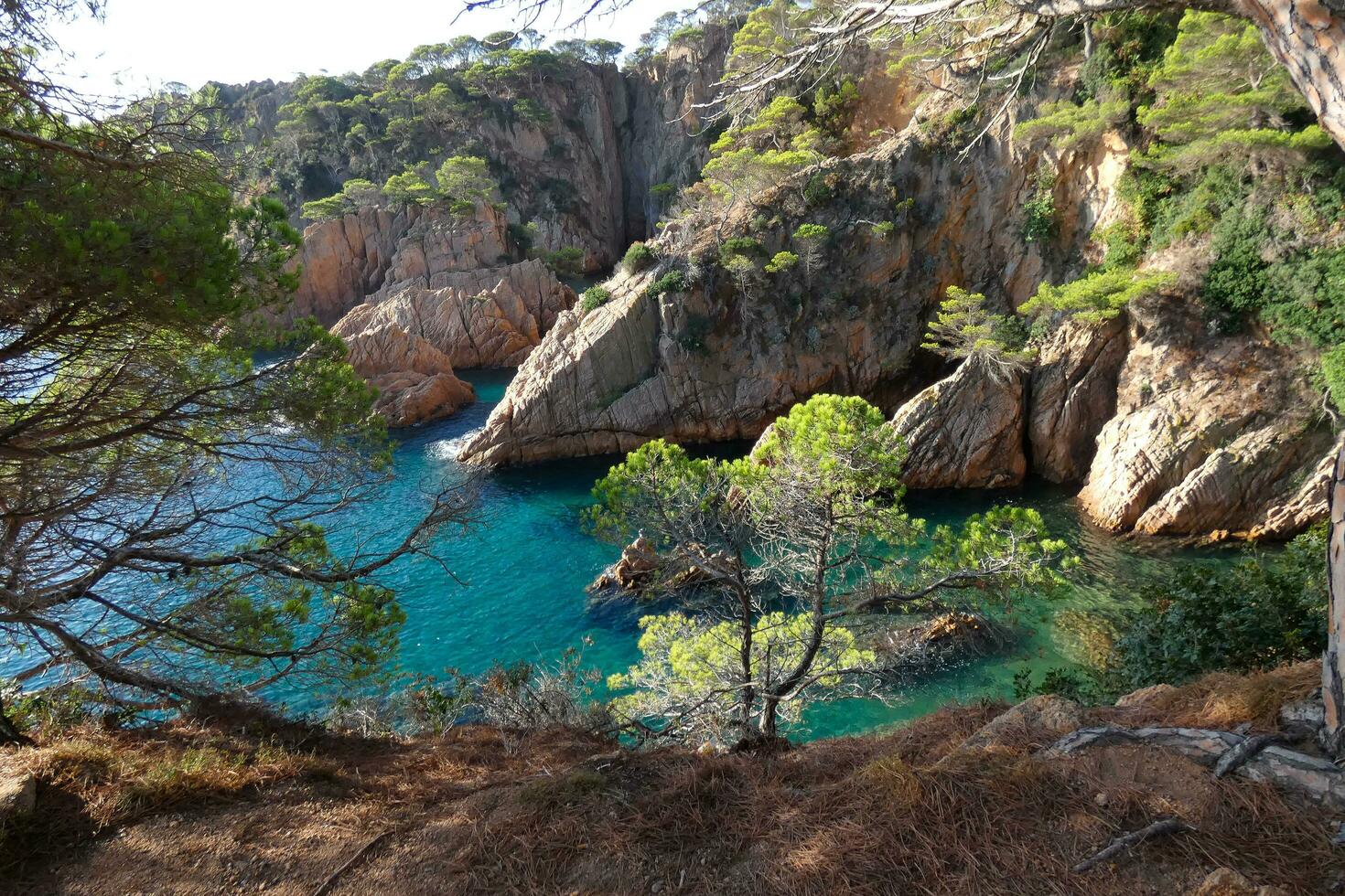 Costa brava and coastal path along the rugged coastline of northern catalonia, Spain photo