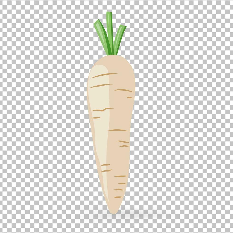 un blanco zanahorias icono aislado en blanco antecedentes vector ilustración