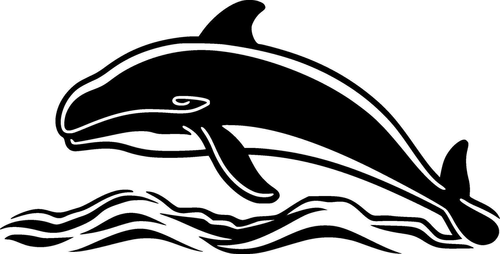 Whale, Black and White Vector illustration