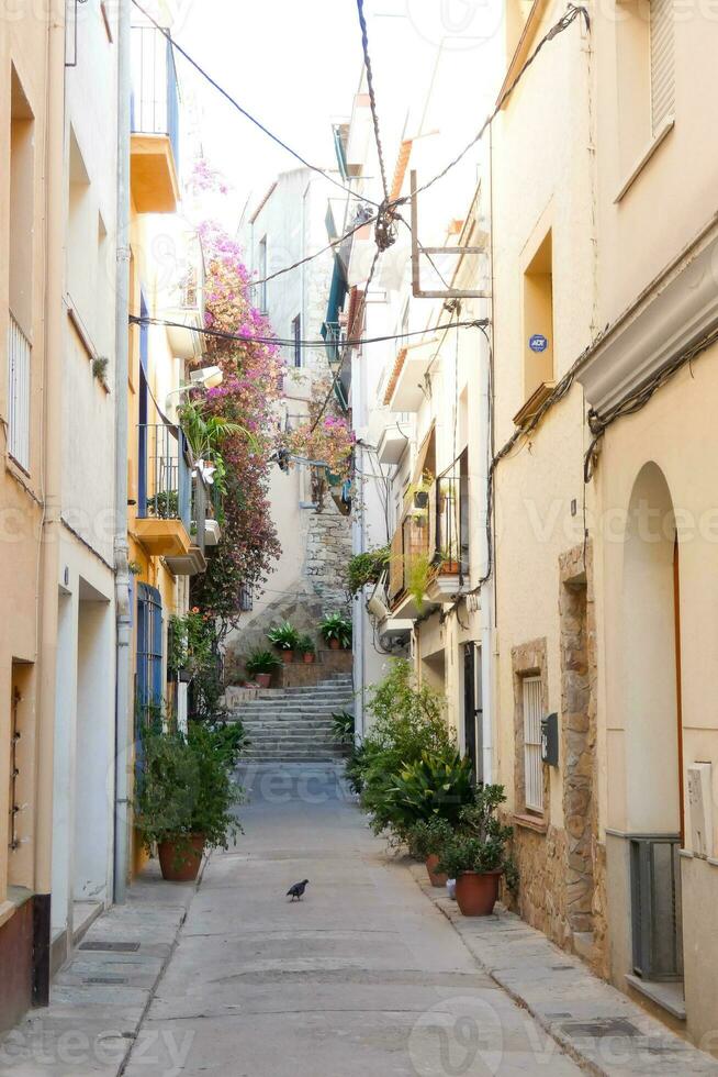 Narrow streets in the old quarter of the Mediterranean town of Blanes in the province of Barcelona, Catalonia, Spain. photo