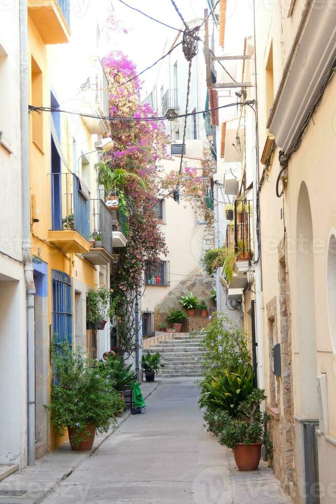 Narrow streets in the old quarter of the Mediterranean town of Blanes in the province of Barcelona, Catalonia, Spain. photo