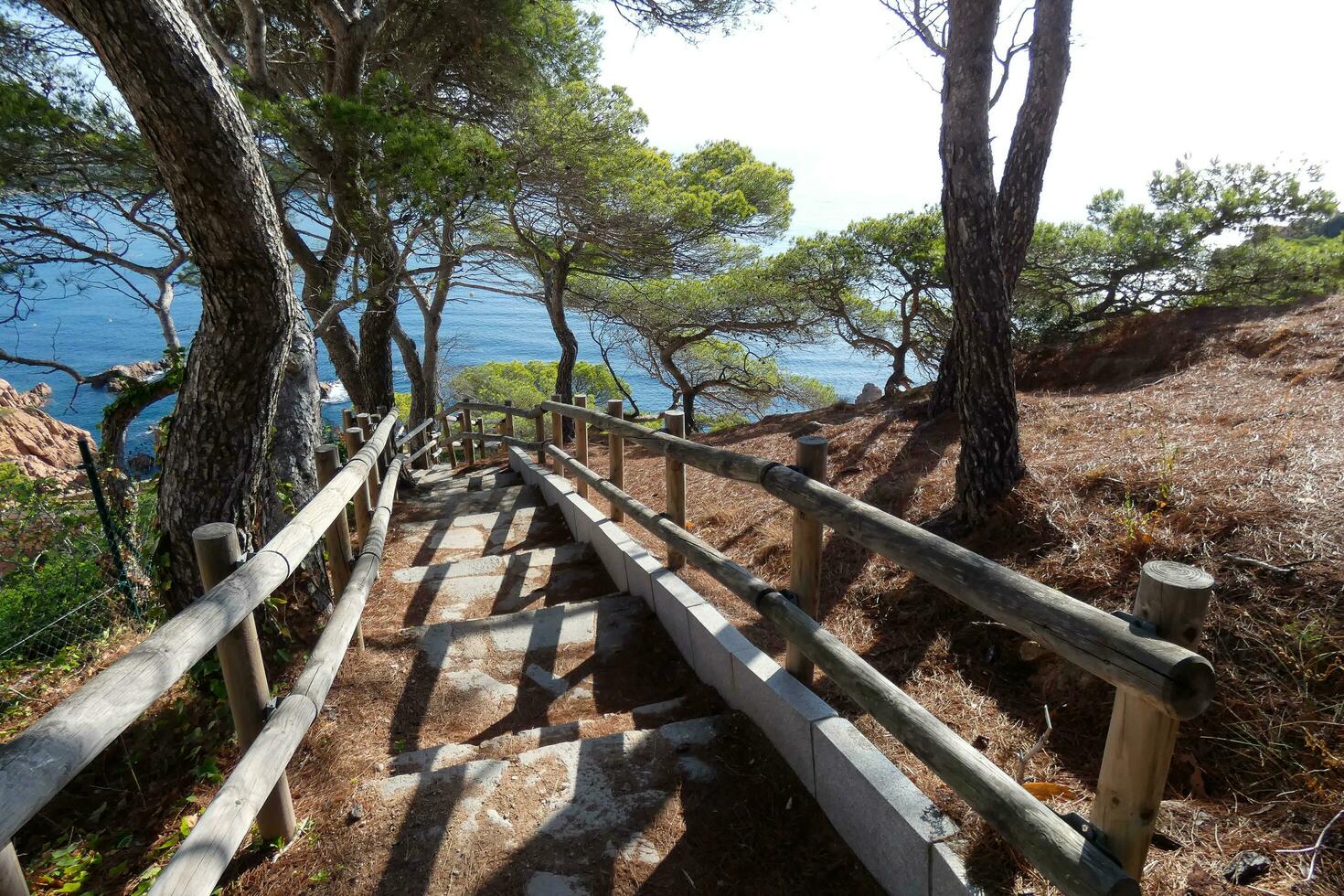 Costa brava and coastal path along the rugged coastline of northern catalonia, Spain photo