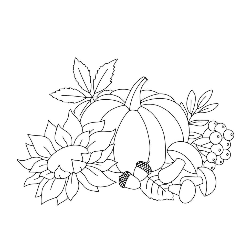 Outline autumn composition with sunflower, pumpkin, mushrooms and acorns. Fall season line illustration for coloring book vector