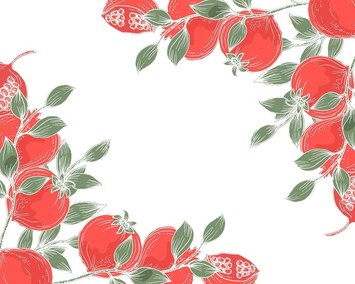 Hand Drawn Pomegranate Illustration Border vector