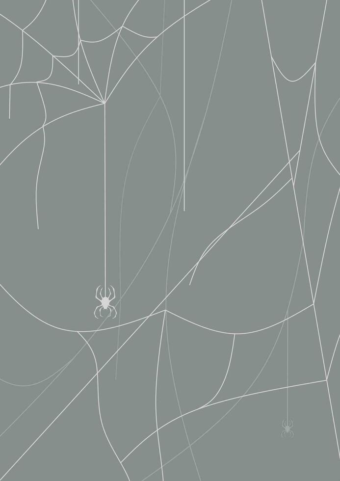 spider nest vertical background vector illustration