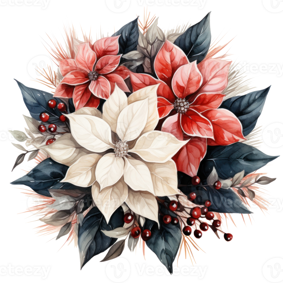 watercolor poinsettia christmas wreath flower isolated png