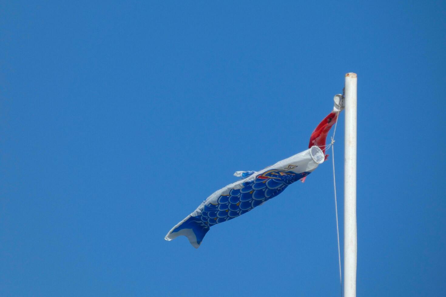 colorful flags under the blue sky fluttering in the wind photo