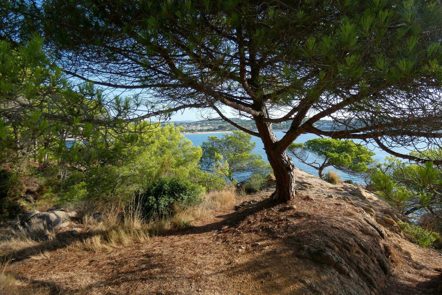 Costa brava and coastal path along the rugged coastline of northern catalonia, Spain photo