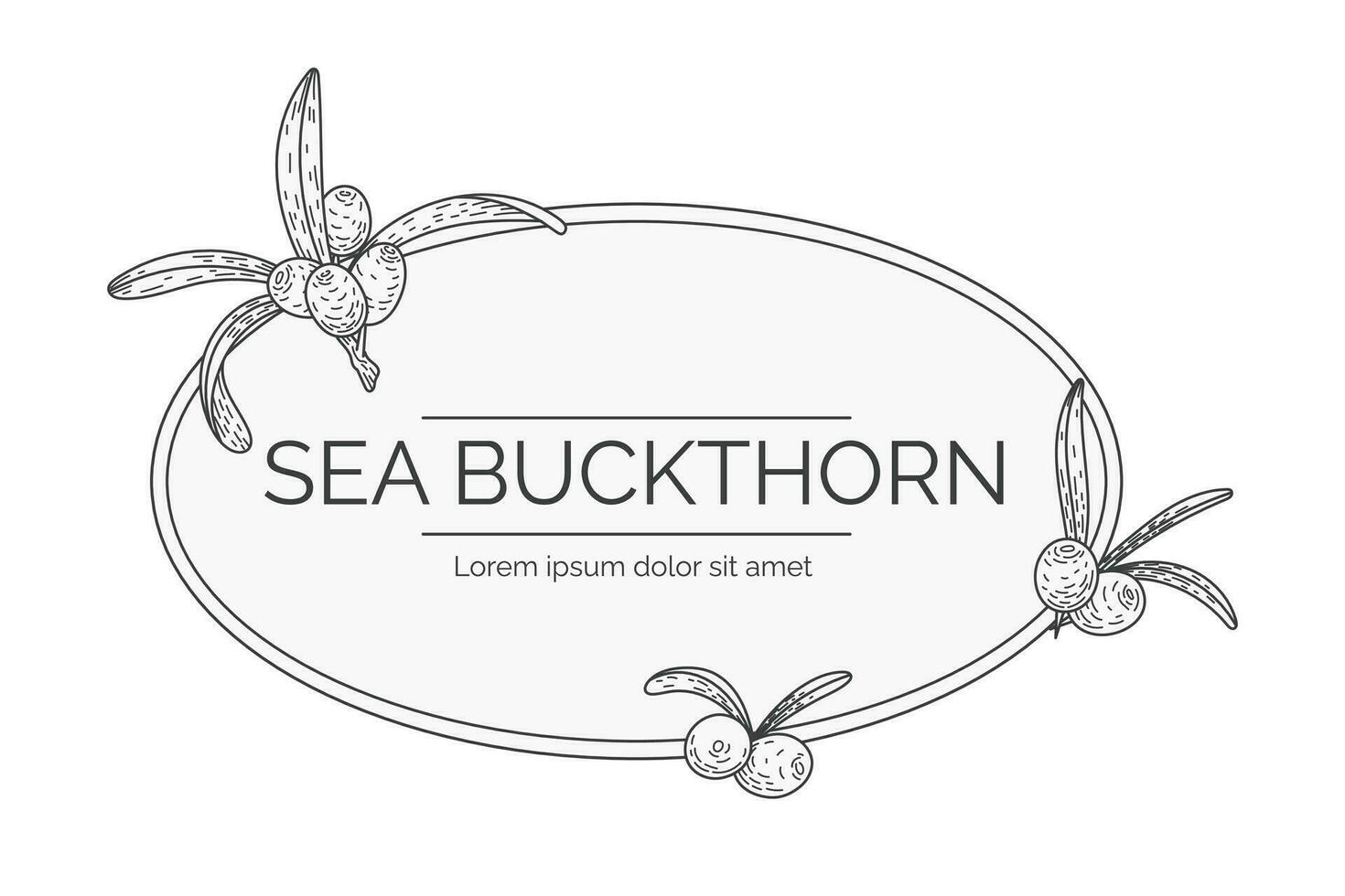 Black and white label or logo with the name Sea Buckthorn. Twig with leaves and berries in sketch style. Vector isolated template.