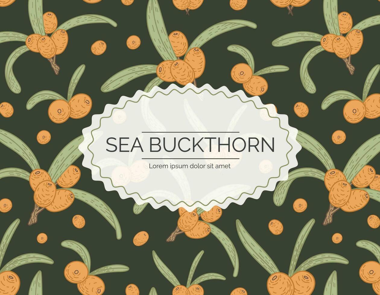 Label or logo with the name Sea Buckthorn. Twig with leaves and berries, background with pattern. Vector isolated template, natural packaging design.